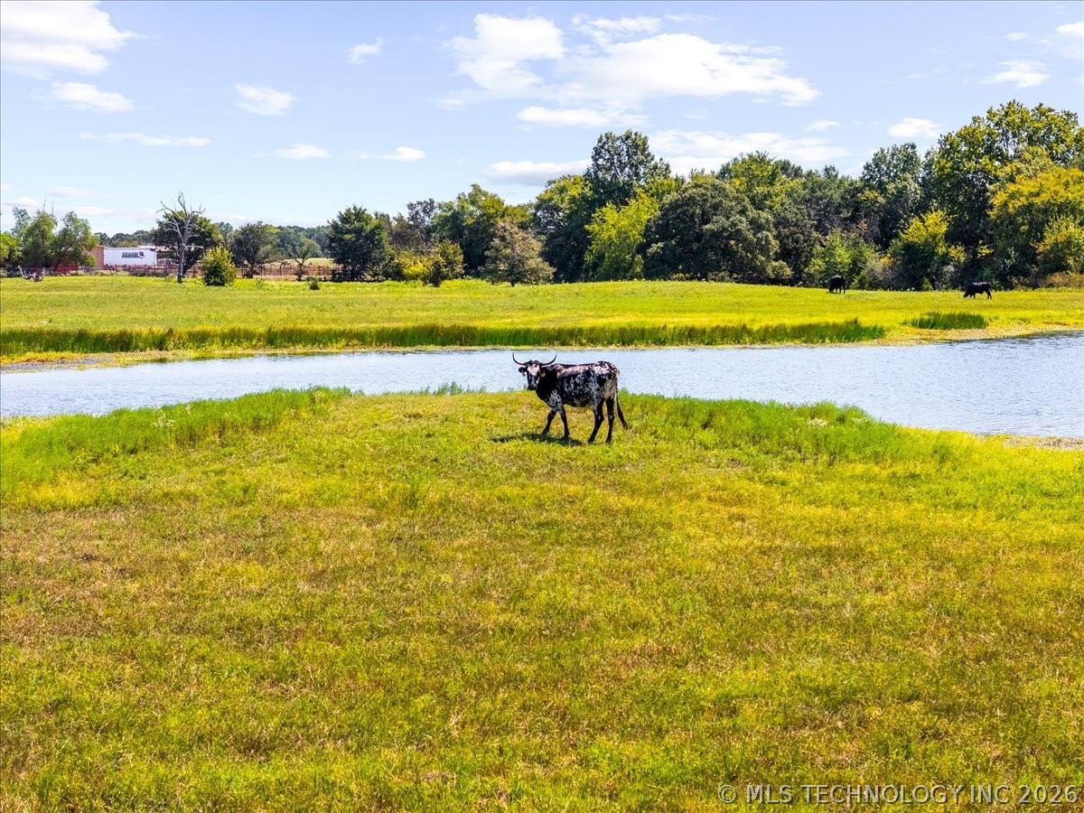 8 Wild Rose Road Property Photo 16