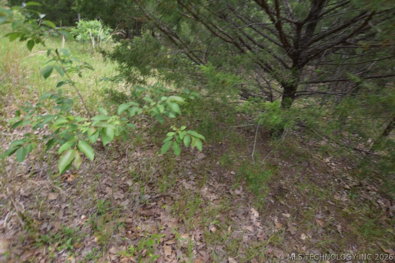 8 Darcy Lane Property Photo 4