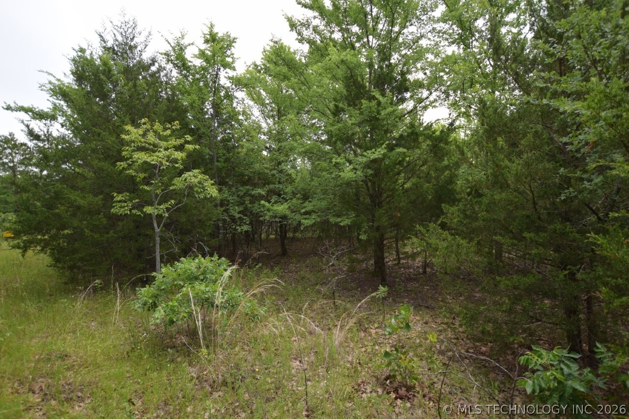 8 Darcy Lane Property Photo 6