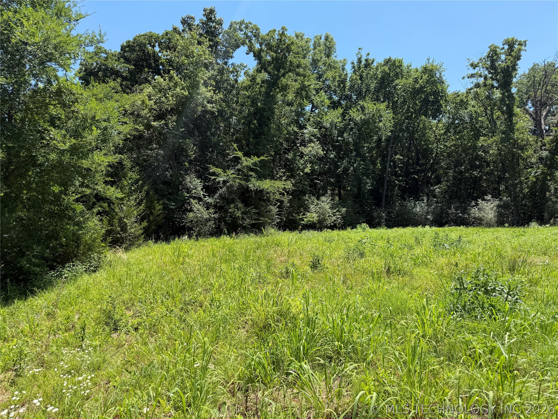 Lakeshore Drive Property Photo 2