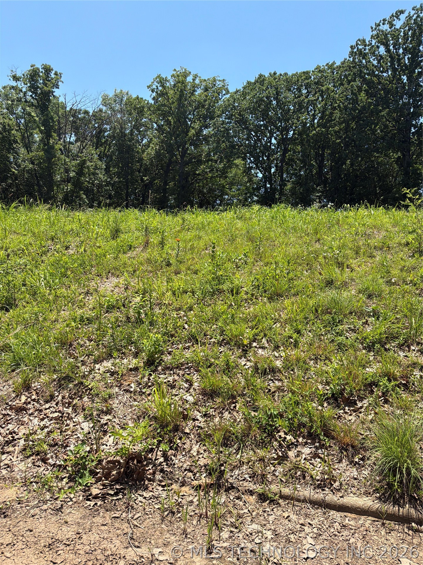 Lakeshore Drive Property Photo 3