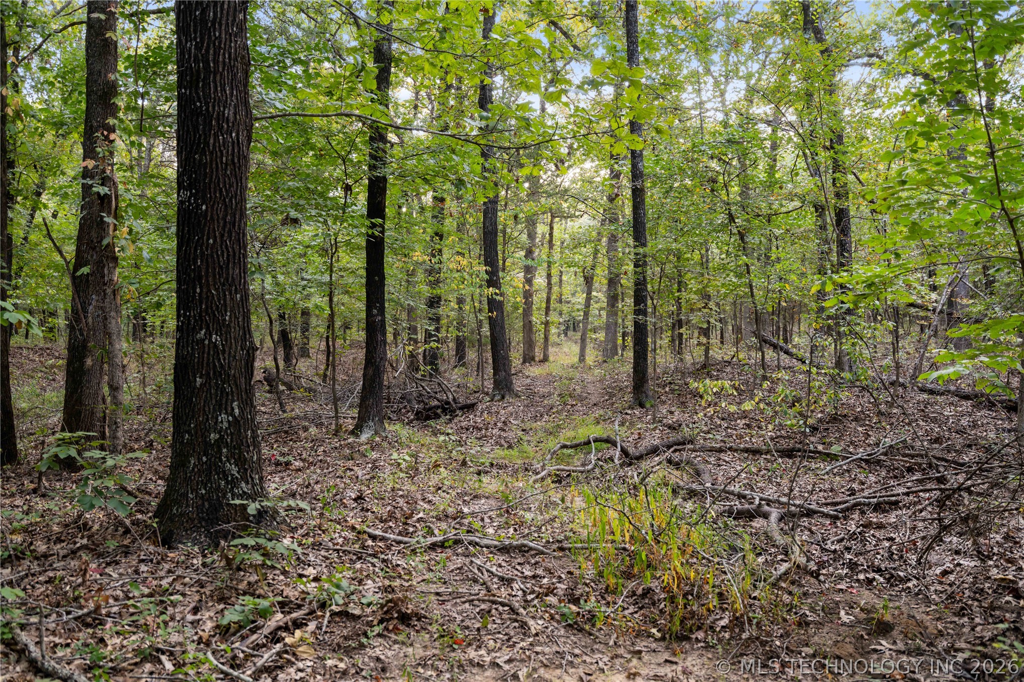 00168 N 4400 Road Property Photo 4