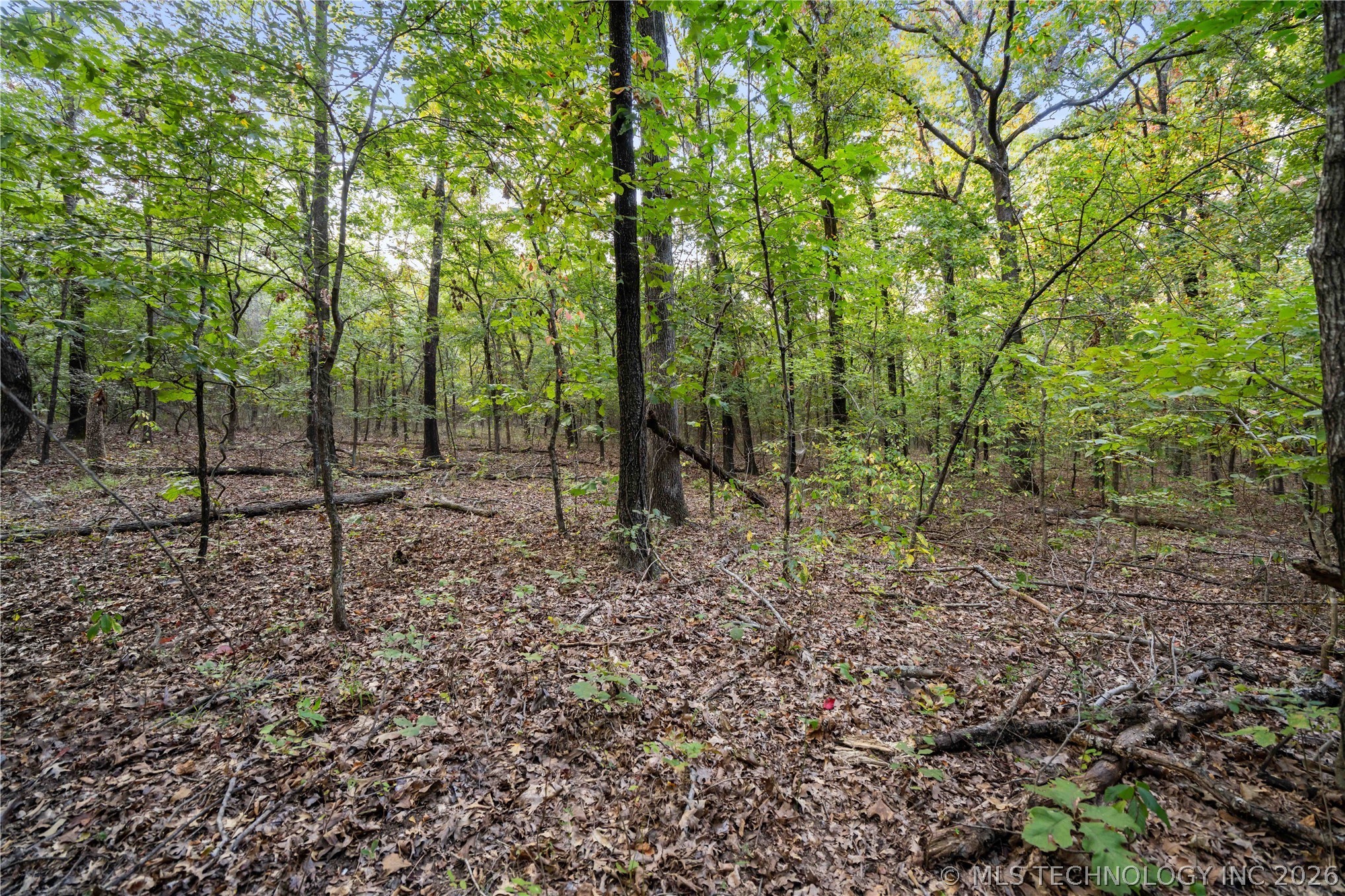 00168 N 4400 Road Property Photo 5
