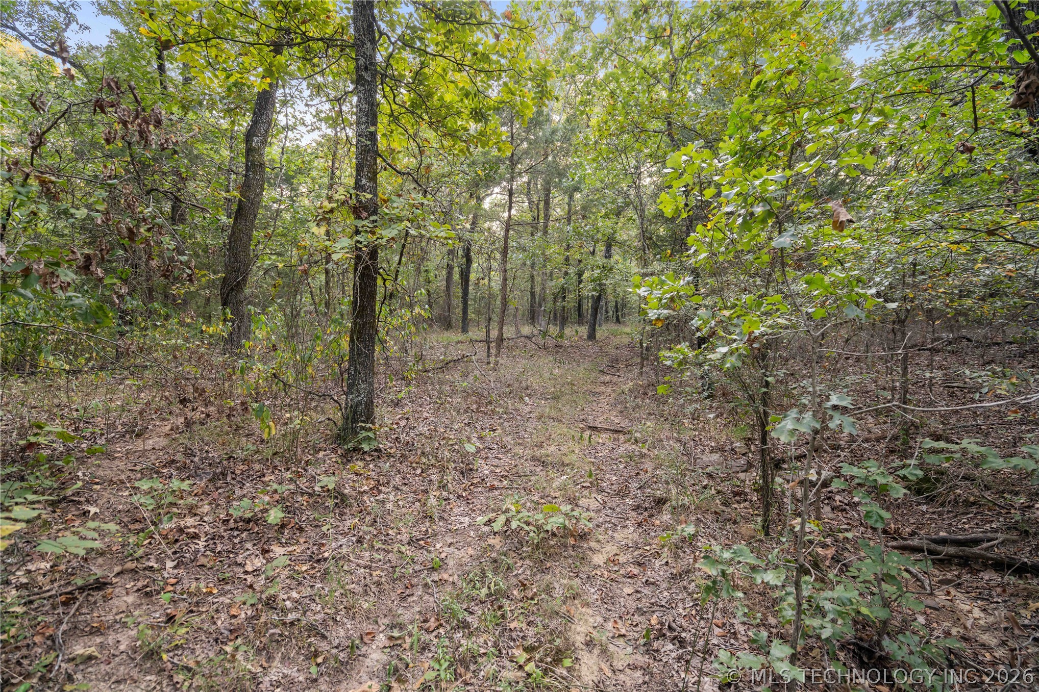 00168 N 4400 Road Property Photo 24