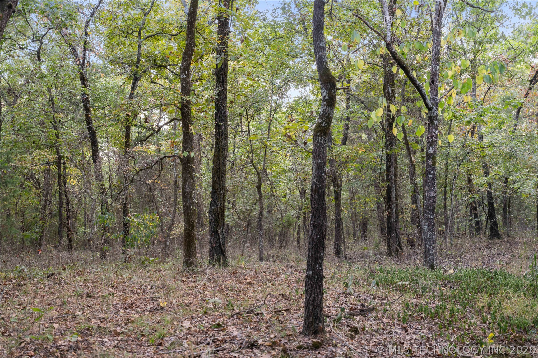 00168 N 4400 Road Property Photo 27