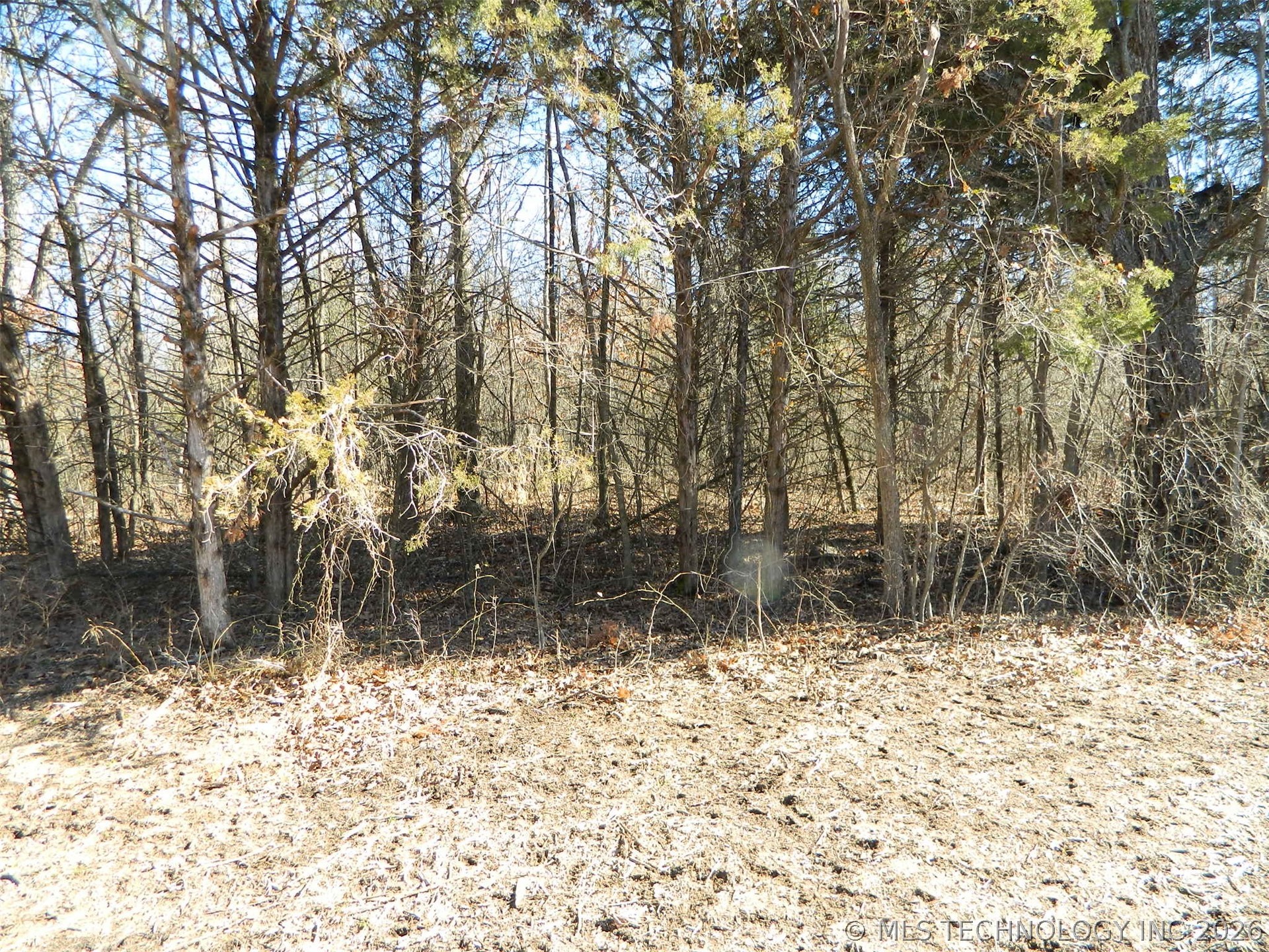 3 Coyote Hills Lane Property Photo 6