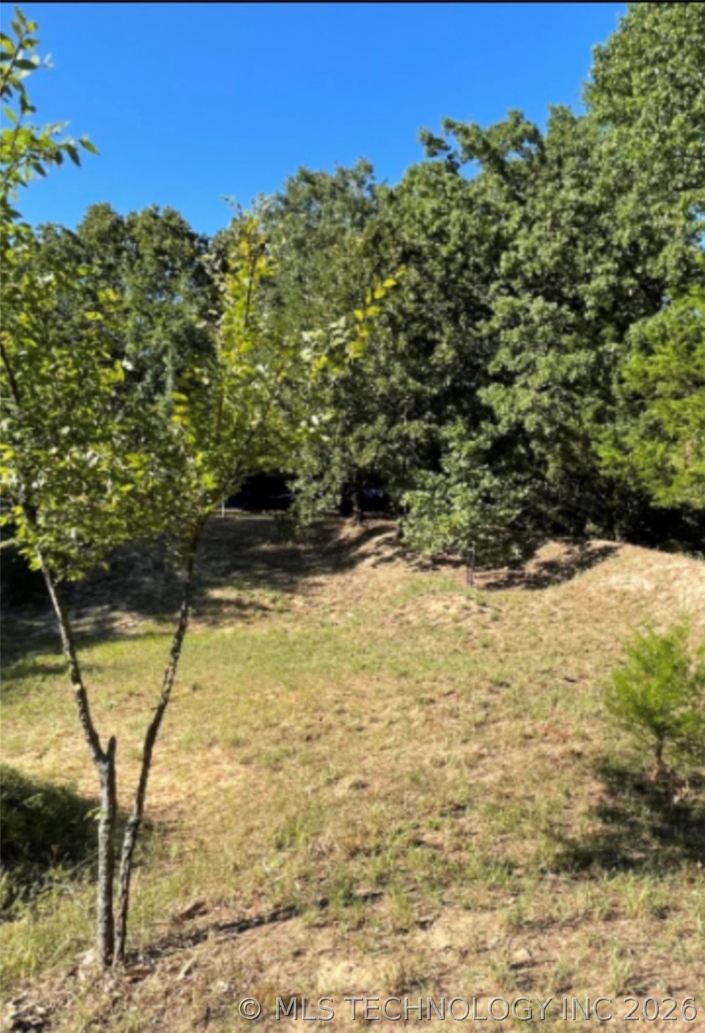 212 Cypress Street Property Photo 8