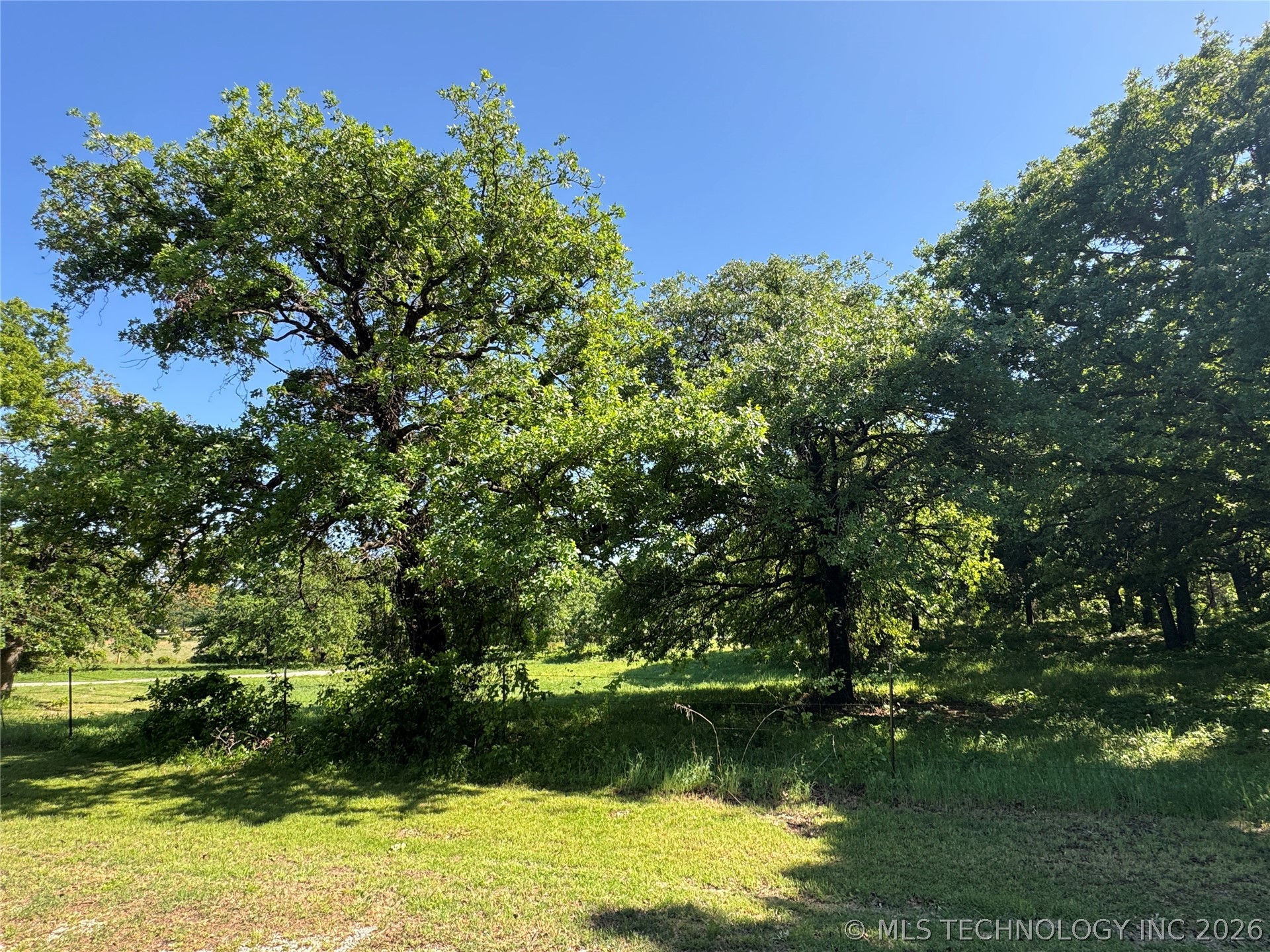 23654 State Hwy 32 Property Photo 24