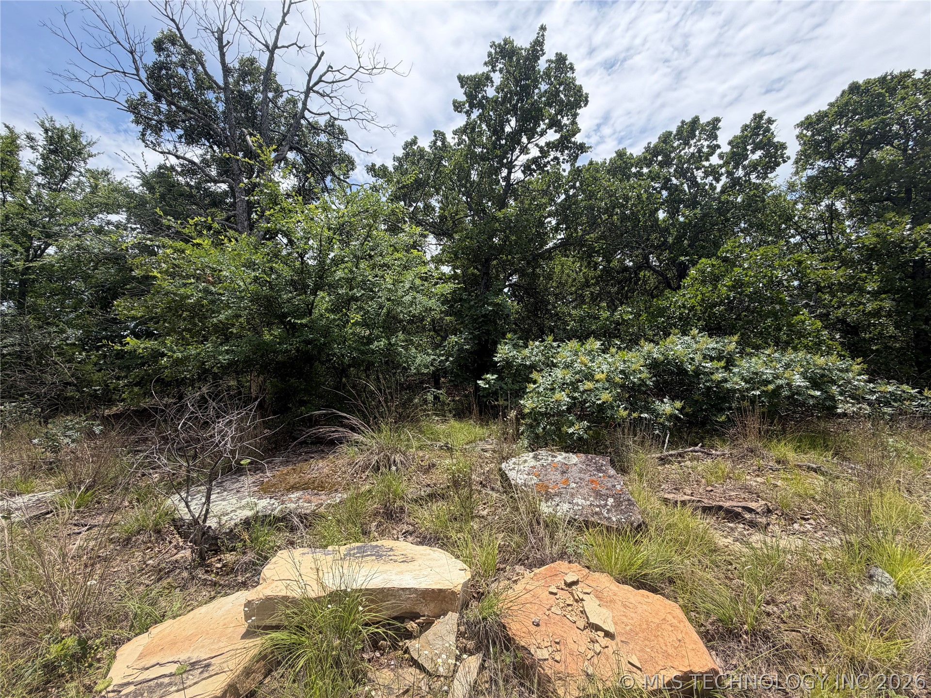 N Ridge Road Property Photo 4