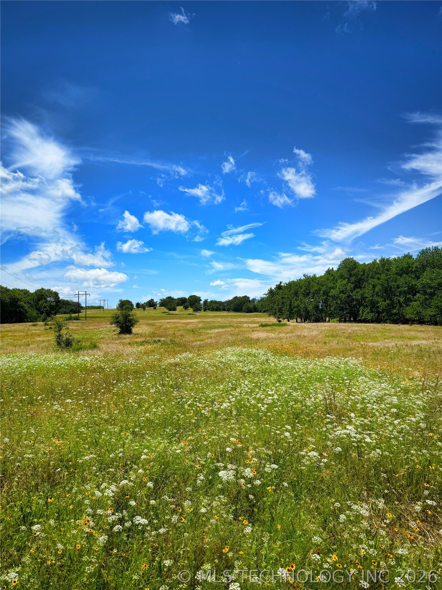 1065 Road Property Photo 11