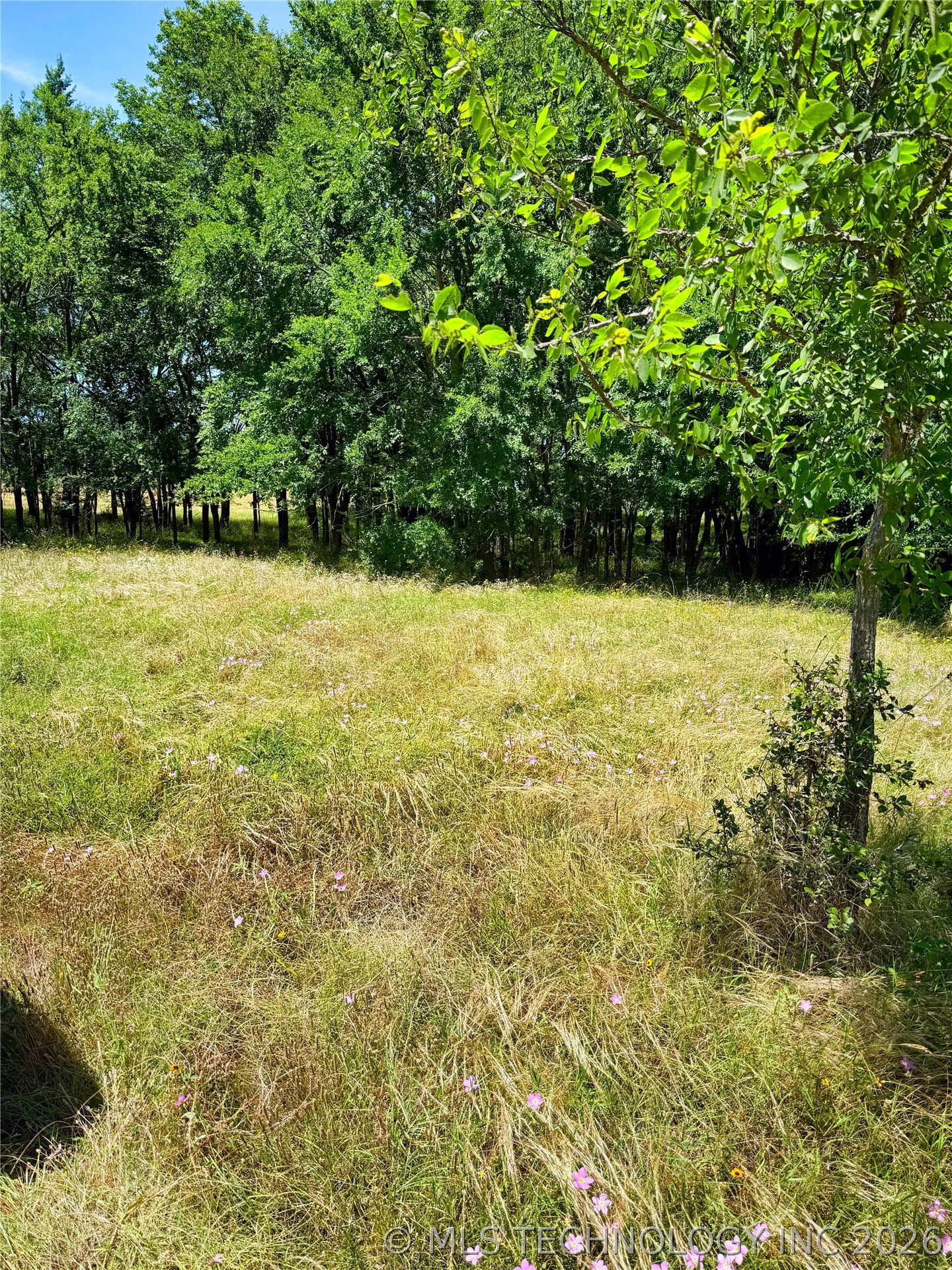 1065 Road Property Photo 15