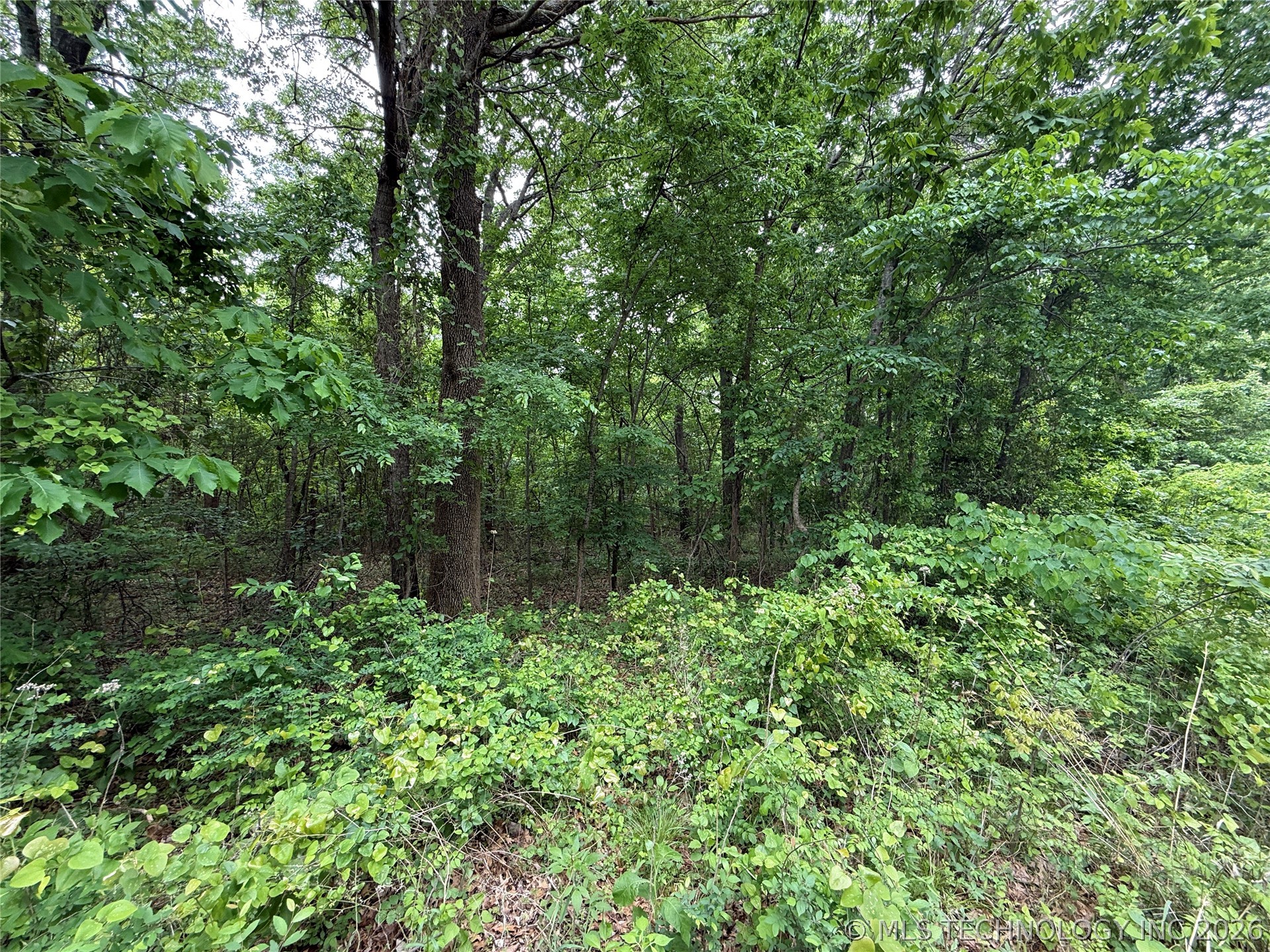1718 Holiday Lane Property Photo 8