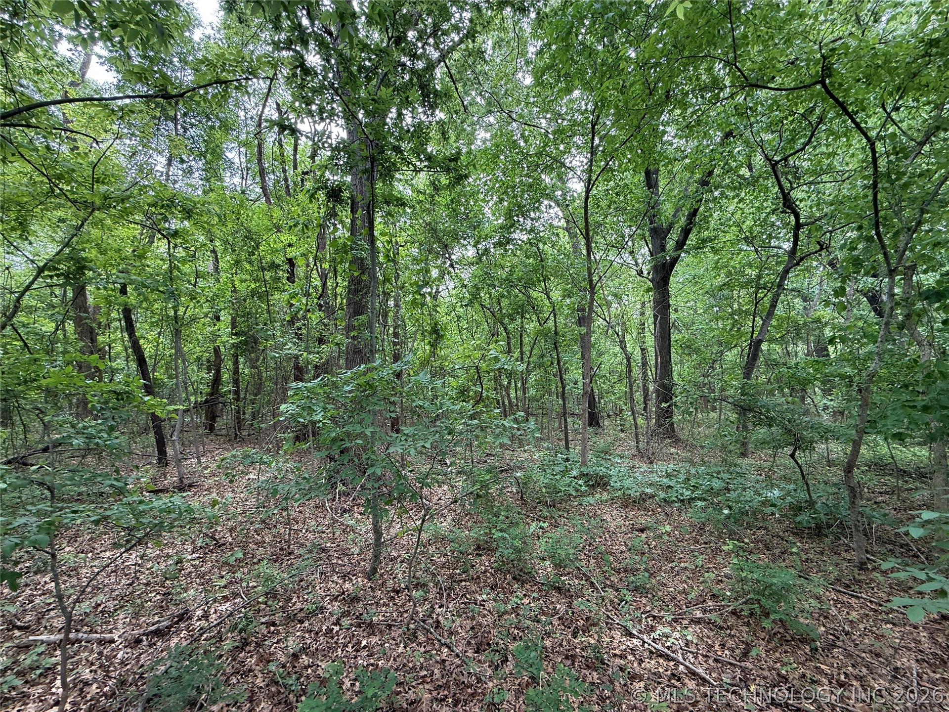 1718 Holiday Lane Property Photo 10