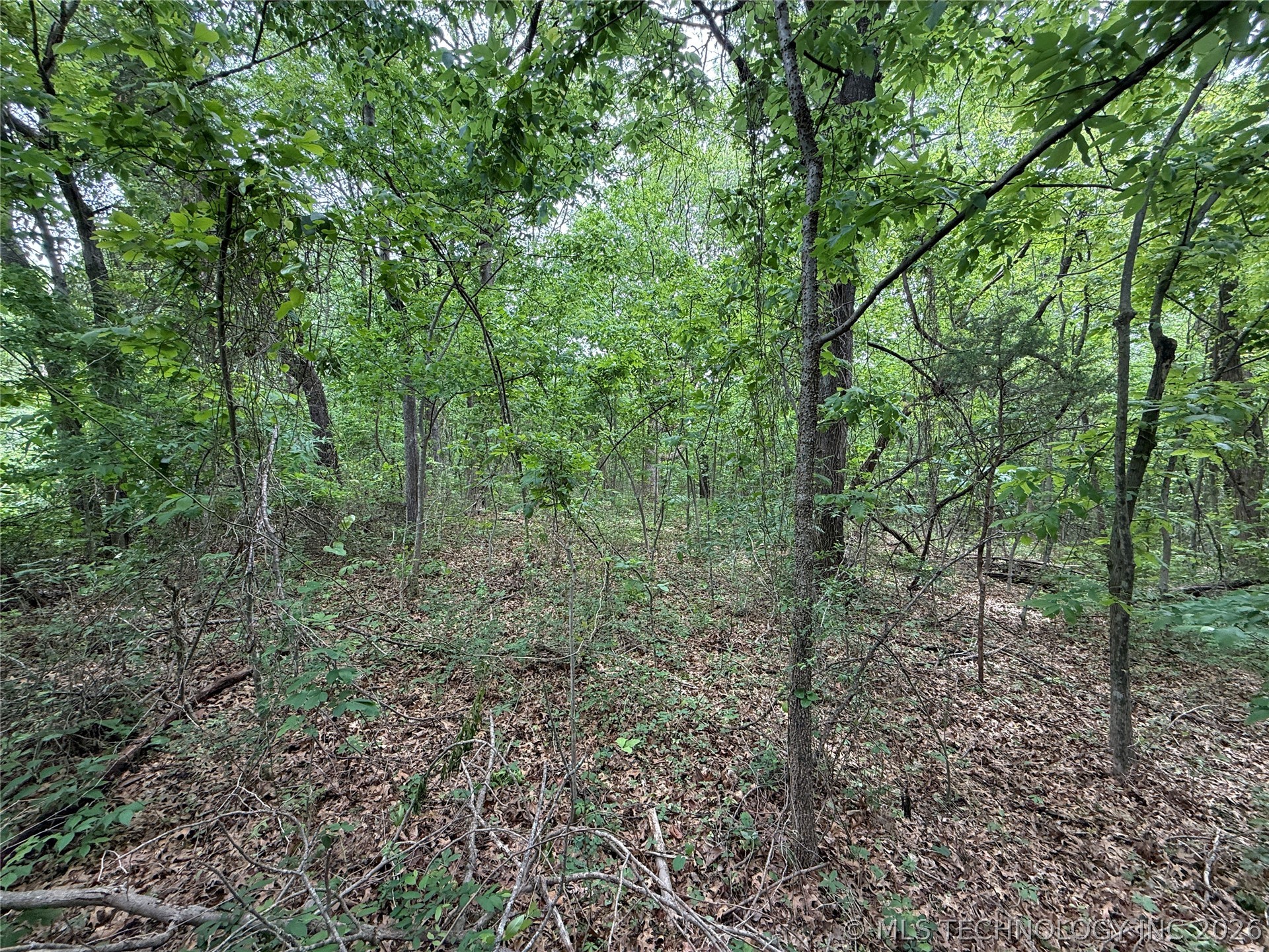 1718 Holiday Lane Property Photo 11