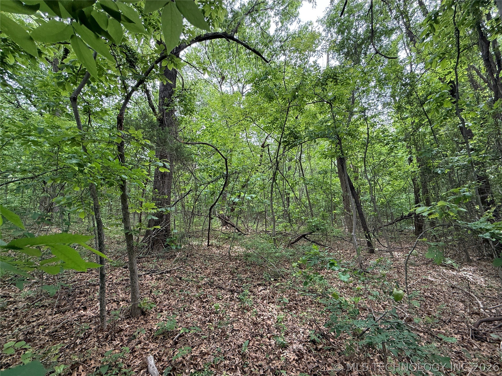 1718 Holiday Lane Property Photo 12