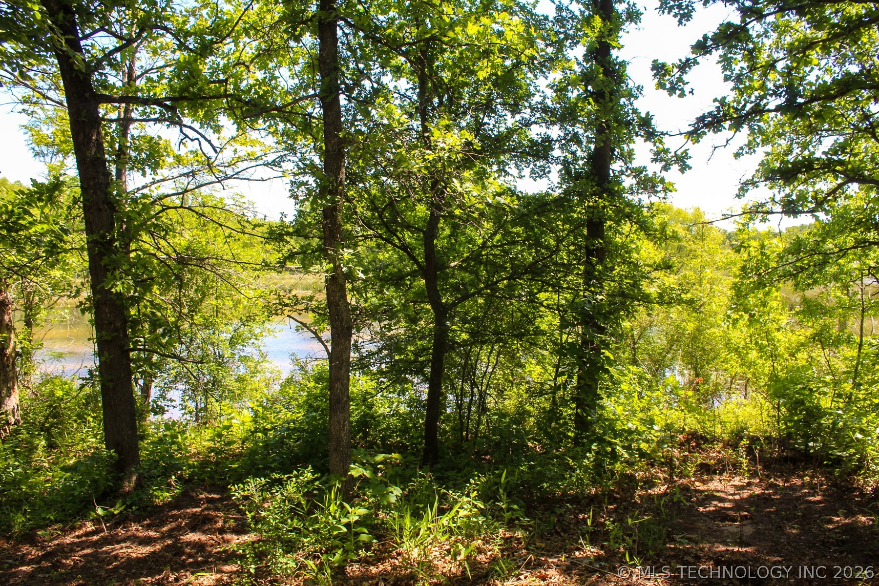 W 311th Street Property Photo 72