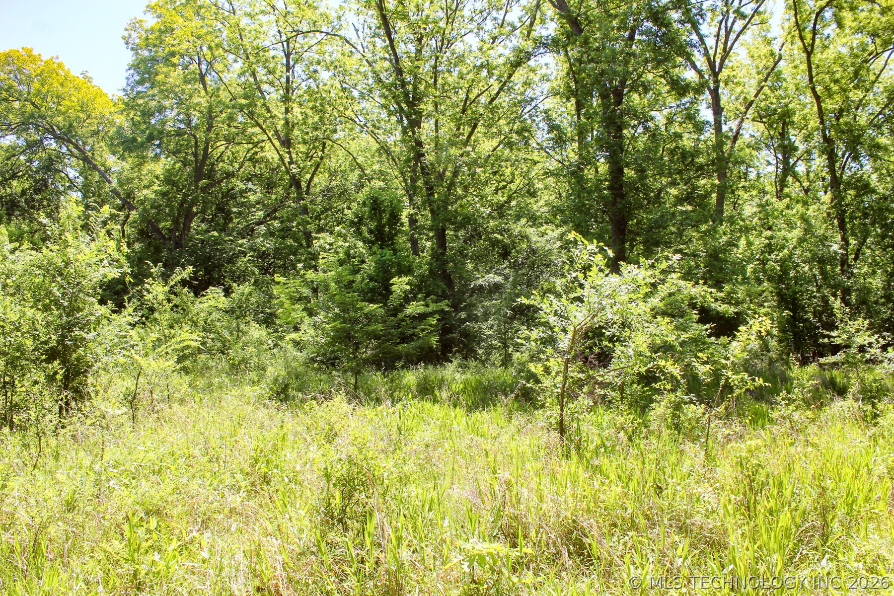 W 311th Street Property Photo 82