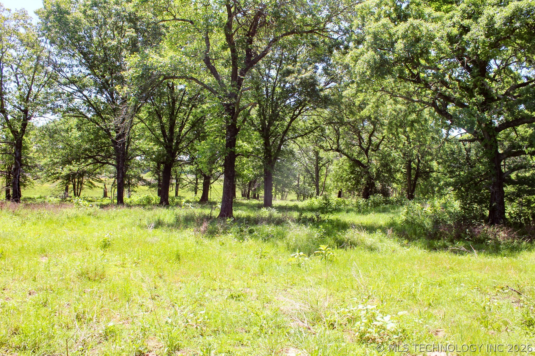 W 311th Street Property Photo 91