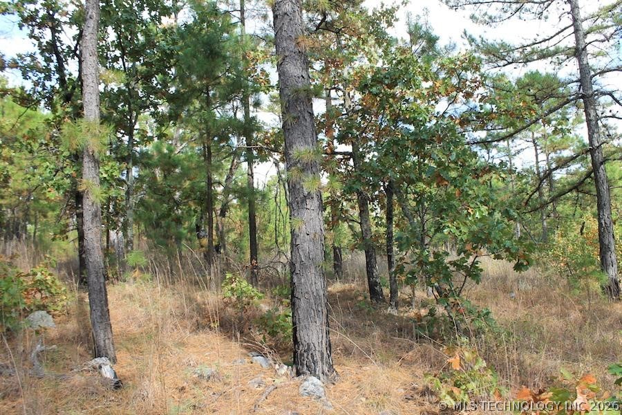 Wagonwheel Road Property Photo 2