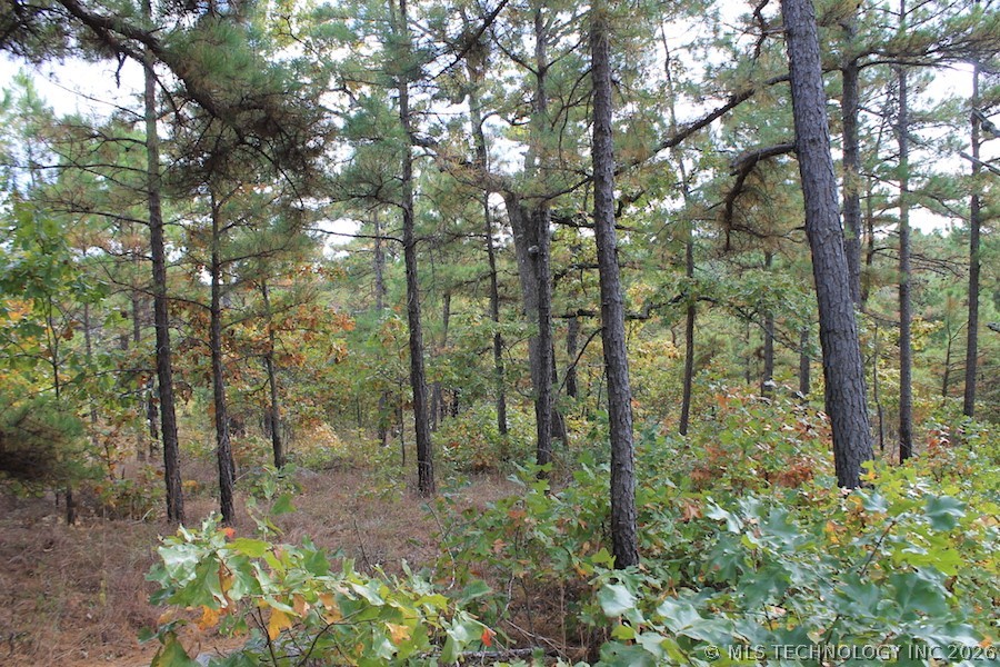 Wagonwheel Road Property Photo 7
