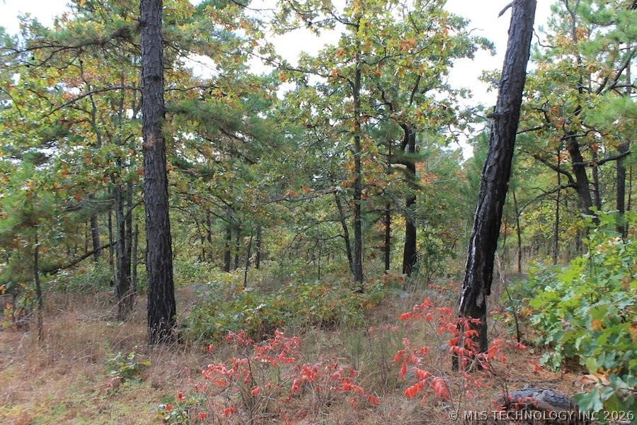 Wagonwheel Road Property Photo 8