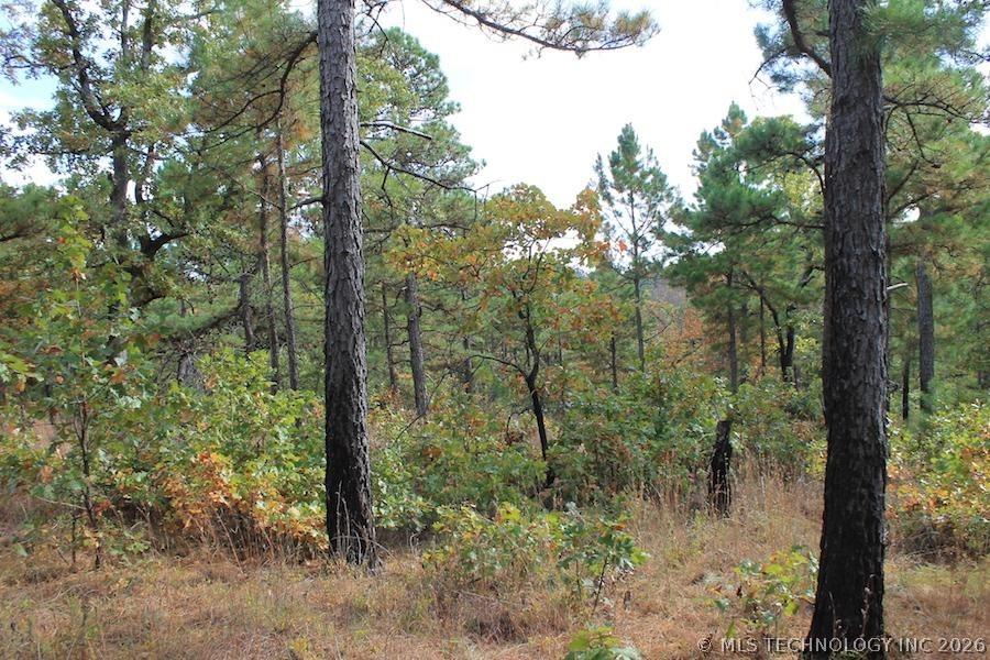 Wagonwheel Road Property Photo 9
