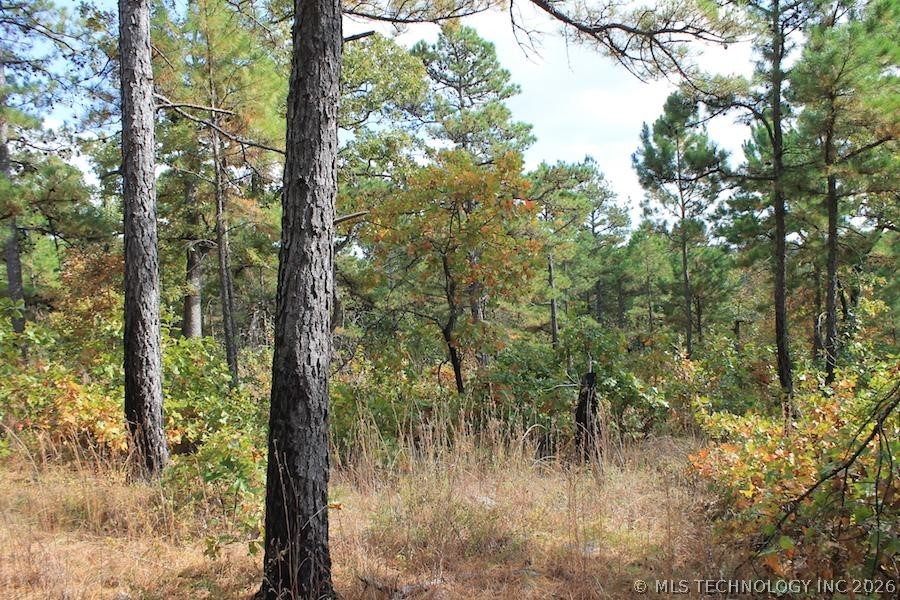 Wagonwheel Road Property Photo 10