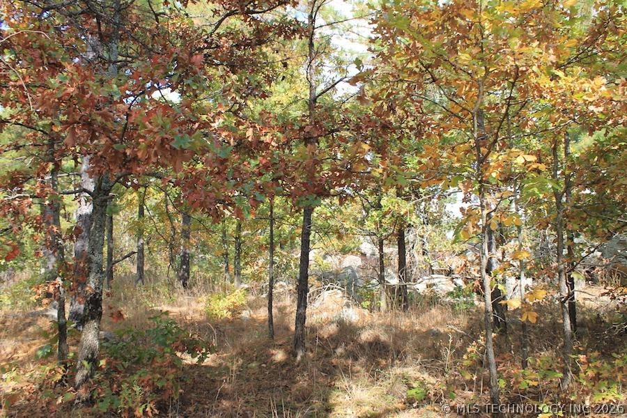 Wagonwheel Road Property Photo 11