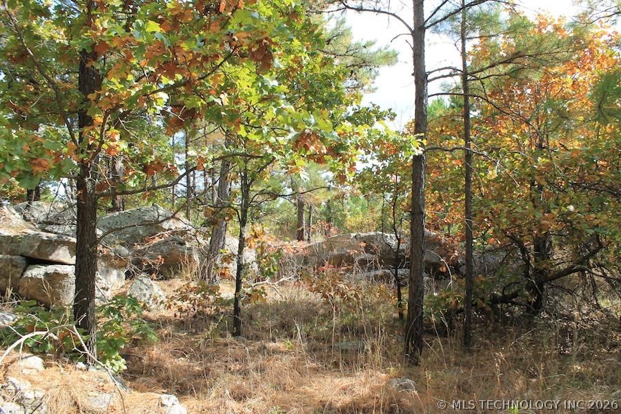 Wagonwheel Road Property Photo 12