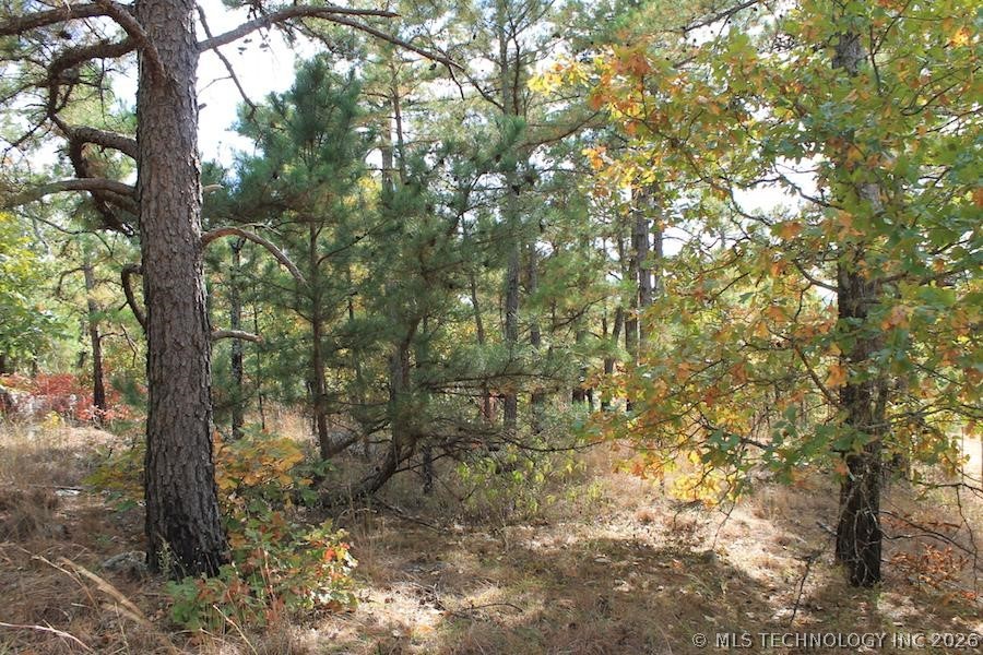 Wagonwheel Road Property Photo 13