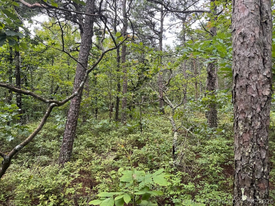 Kiamichi Mountain Ridge Property Photo 4