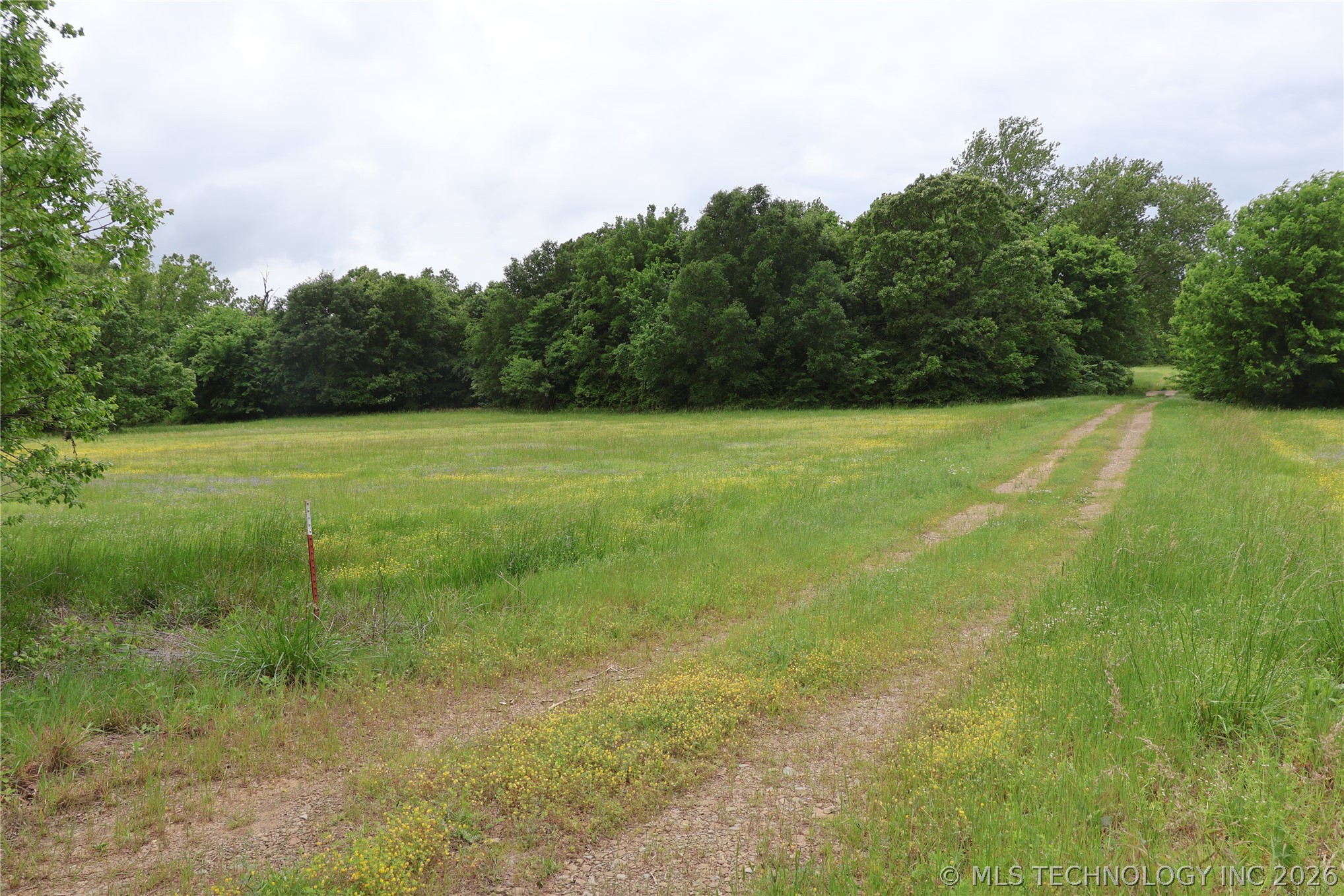 Wildhorse Road Property Photo 6