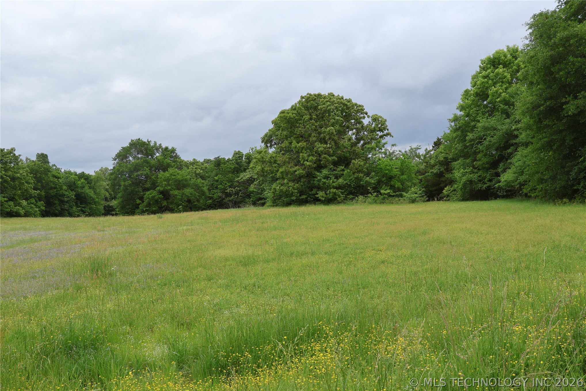 Wildhorse Road Property Photo 7