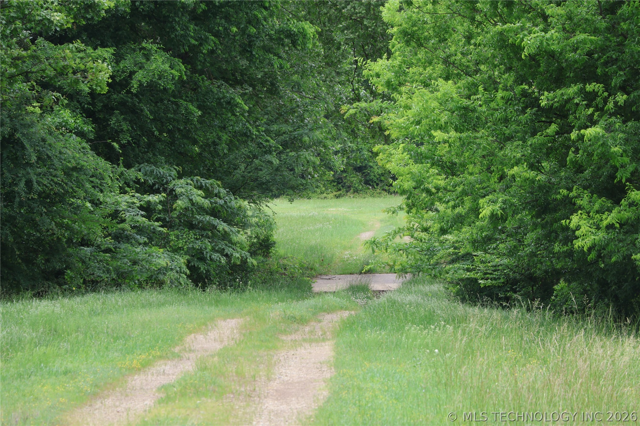 Wildhorse Road Property Photo 8