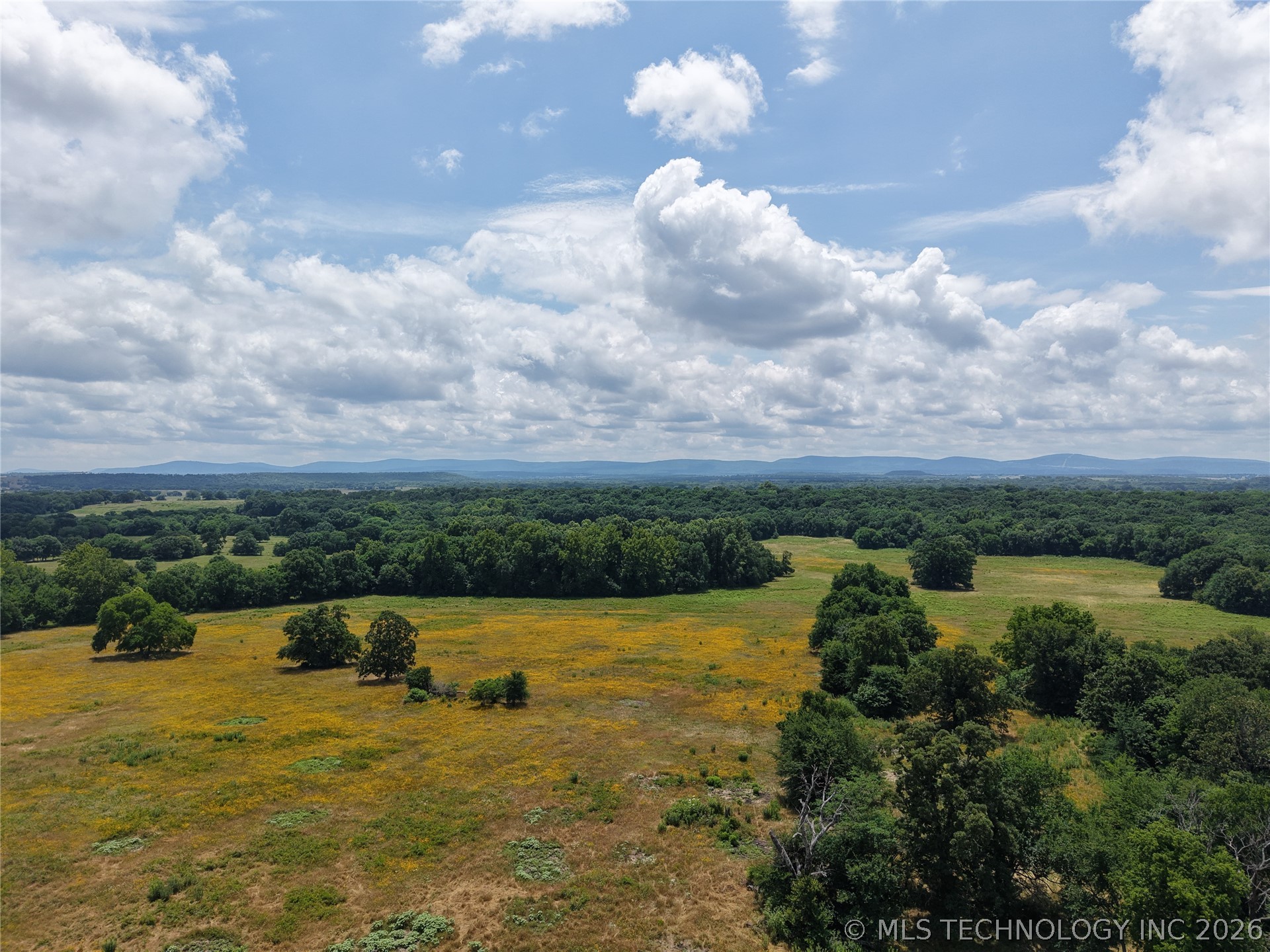 E County Road 1260 Road Property Photo