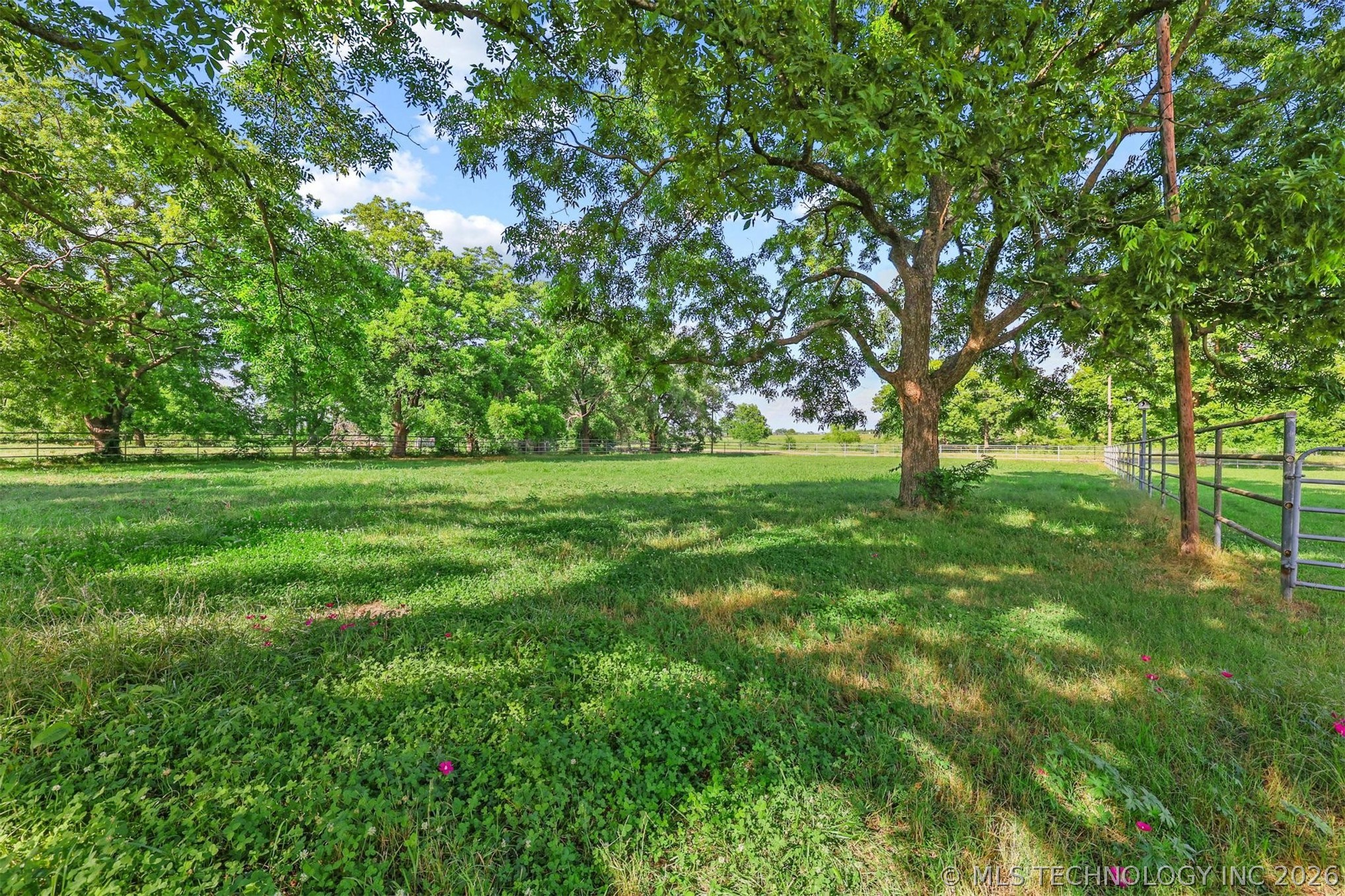 10223 N Us Hwy 377 Property Photo 4