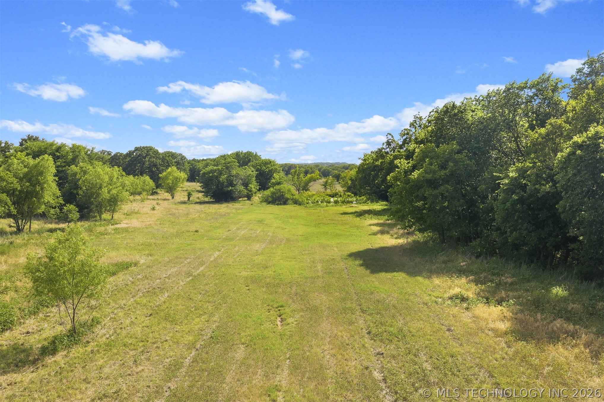 33247 Brushy Mound Lane Property Photo 37
