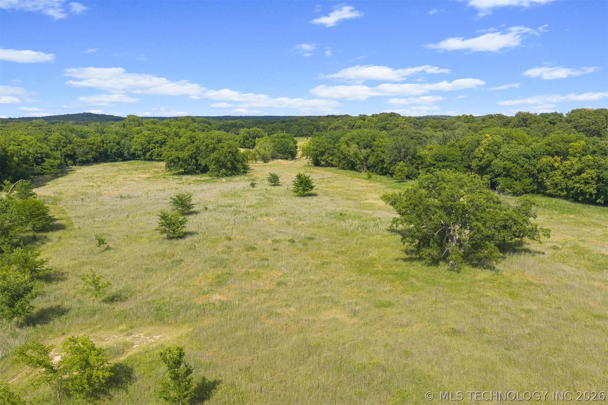 33247 Brushy Mound Lane Property Photo 40