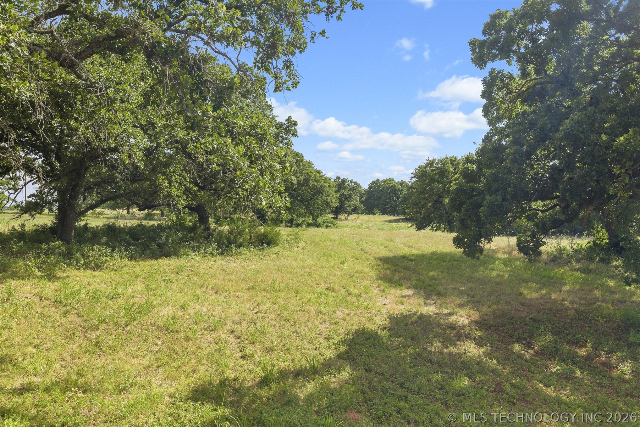 33247 Brushy Mound Lane Property Photo 43