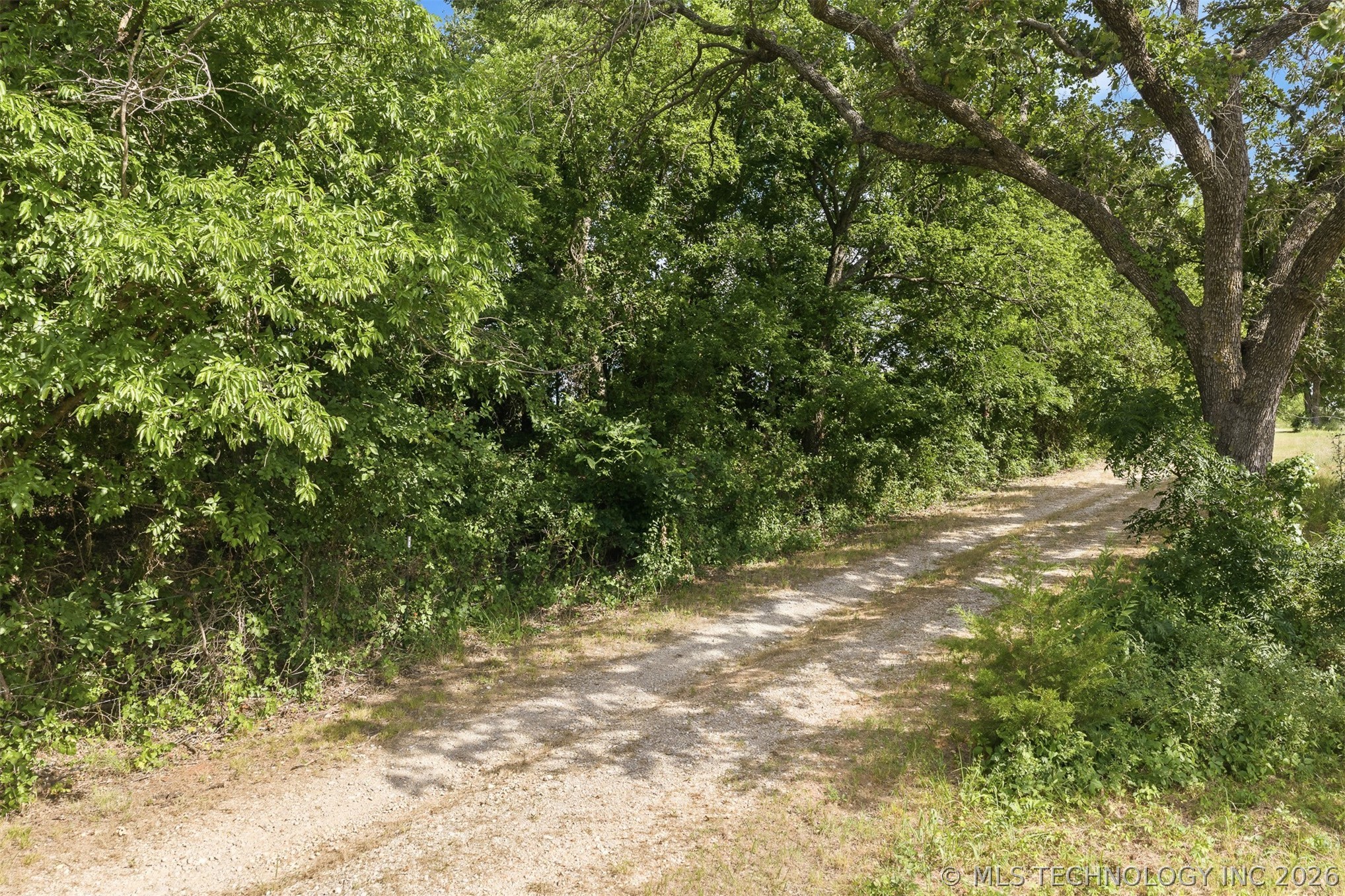 33247 Brushy Mound Lane Property Photo 44