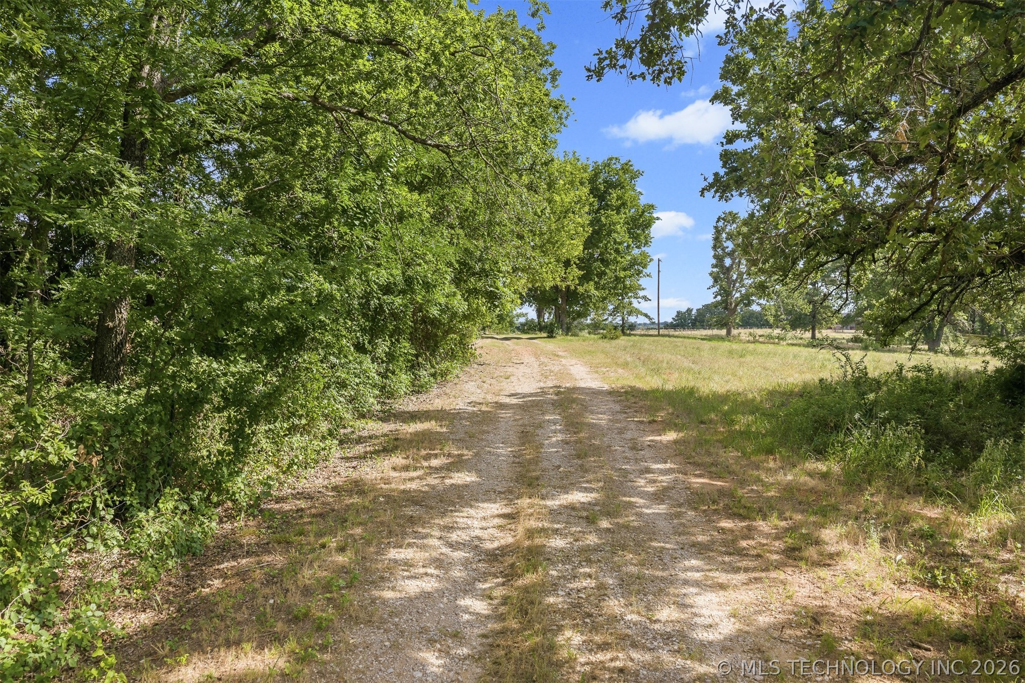 33247 Brushy Mound Lane Property Photo 45