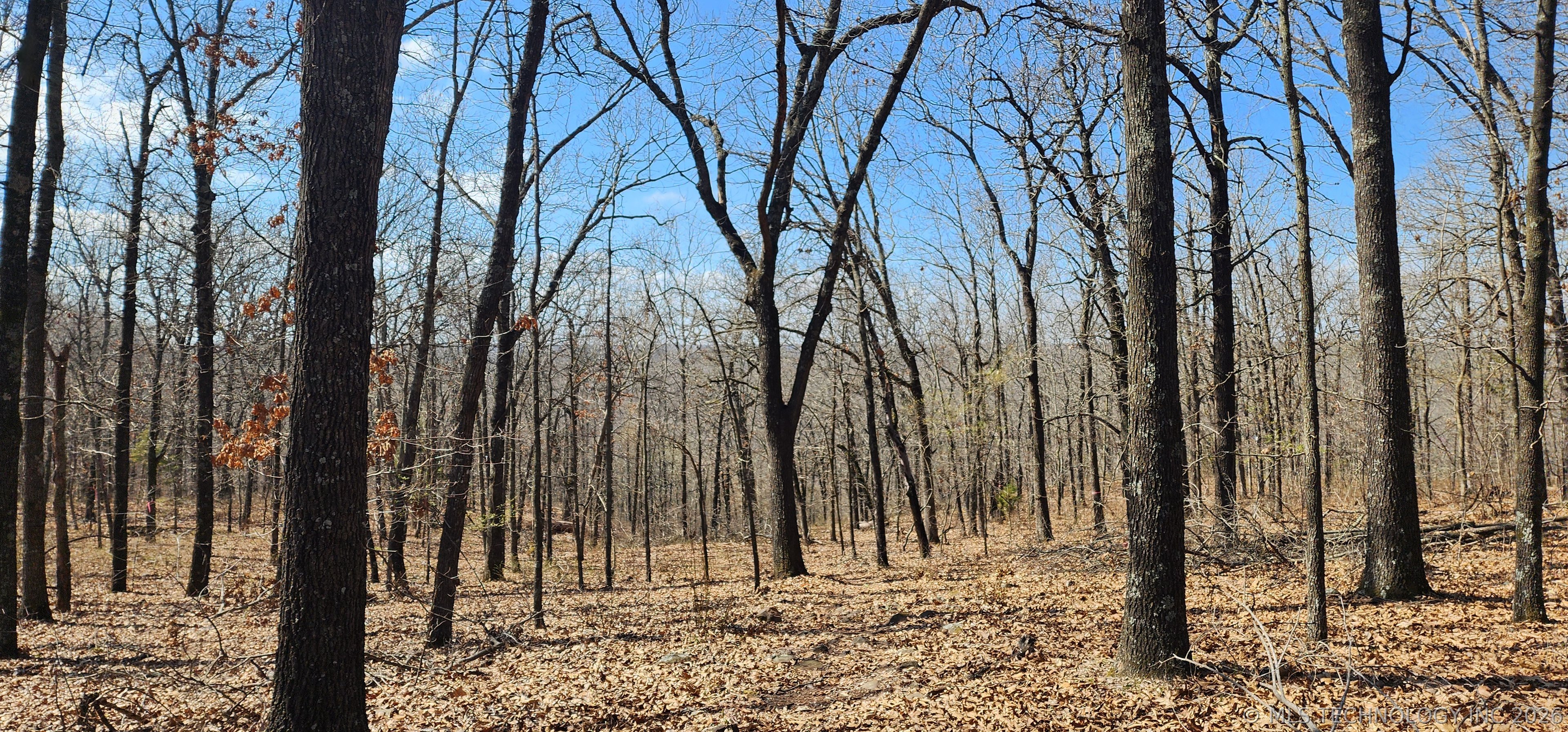 13780 S 4220 Road Property Photo 10
