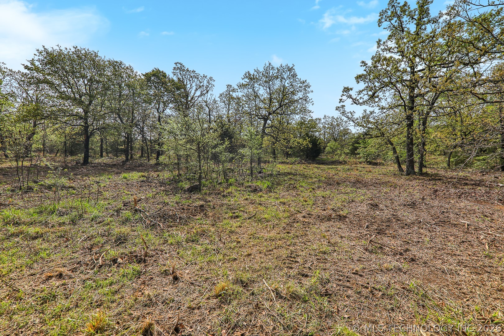 849 Dozer Road Property Photo 7