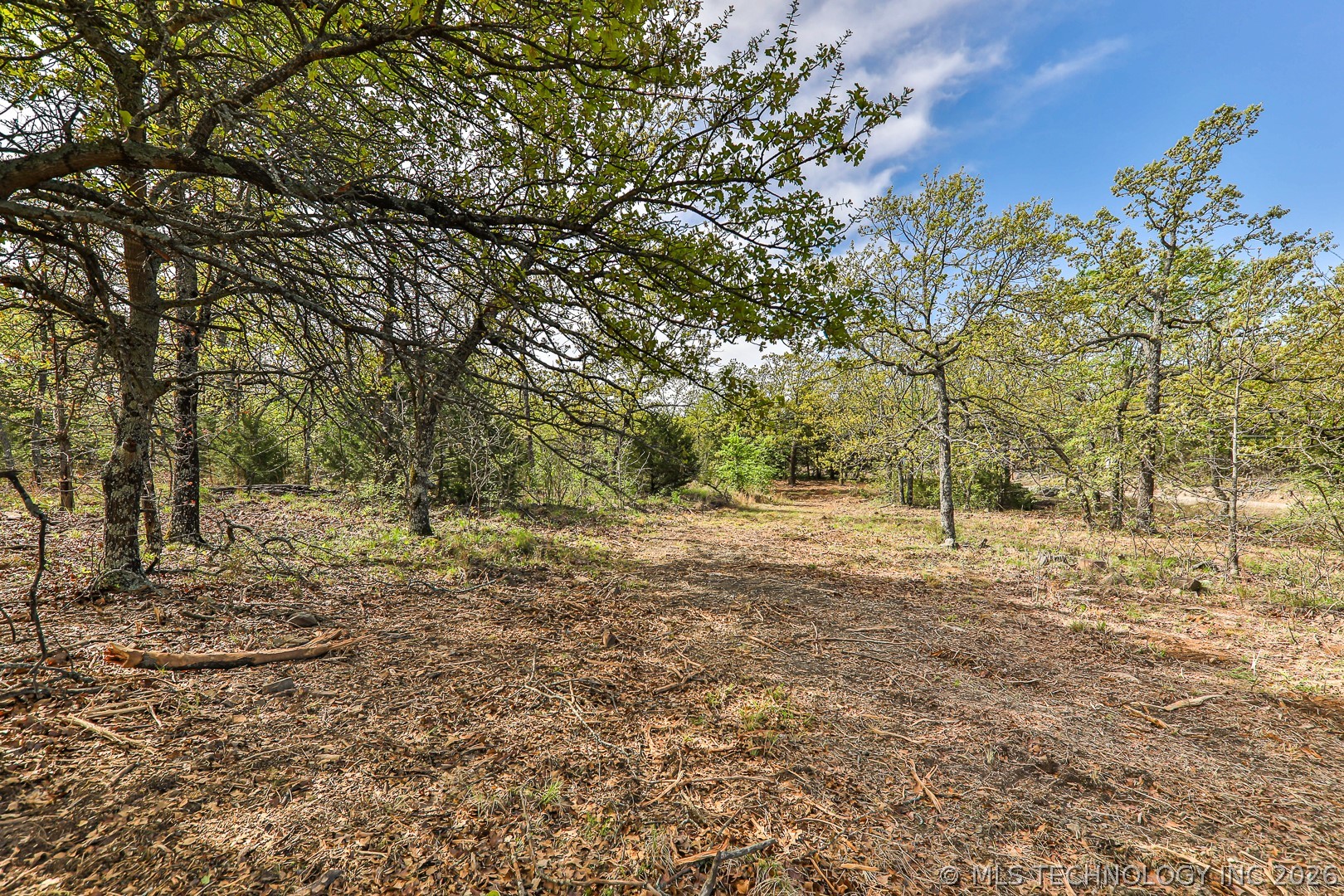 849 Dozer Road Property Photo 8
