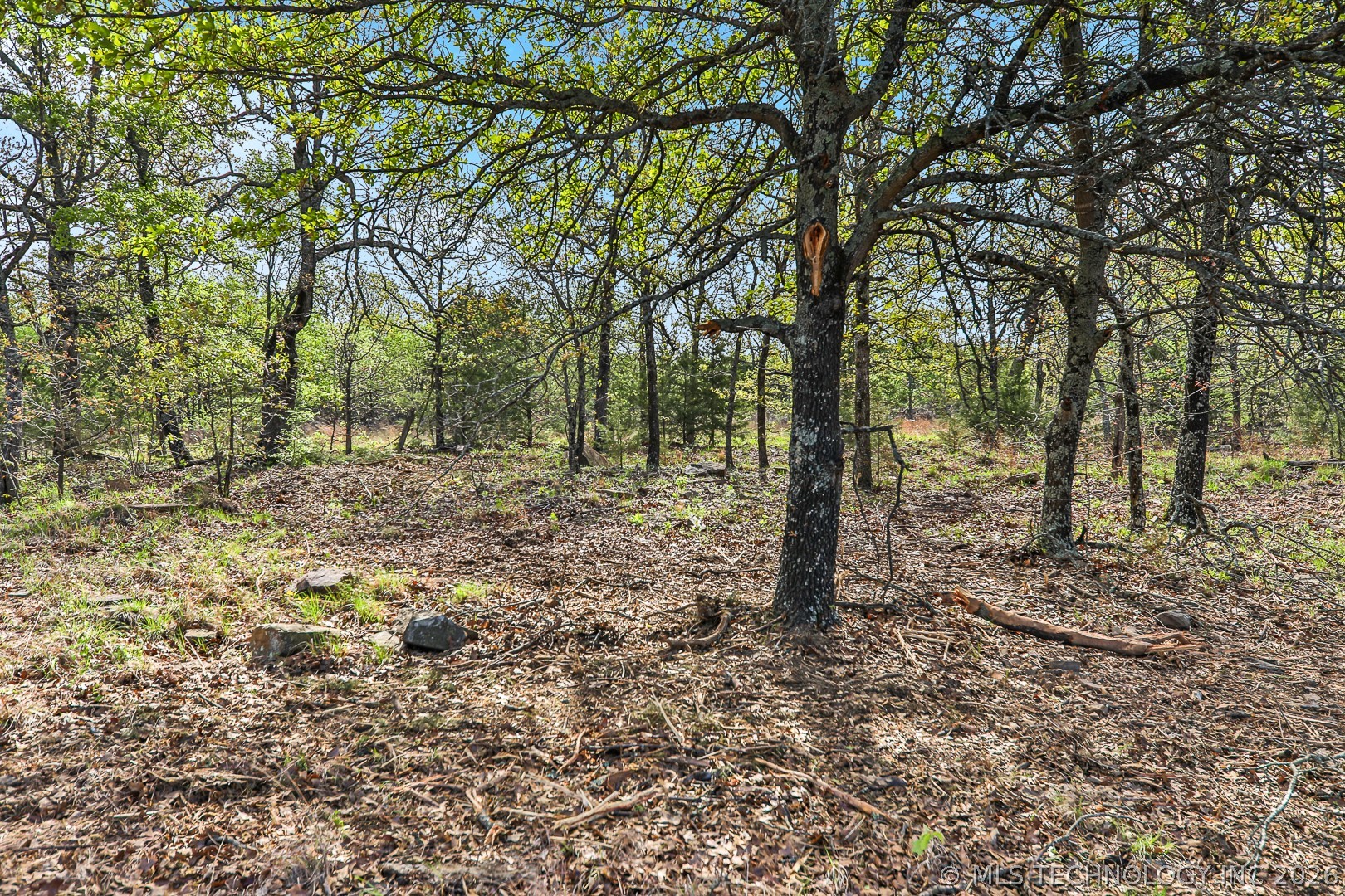849 Dozer Road Property Photo 9
