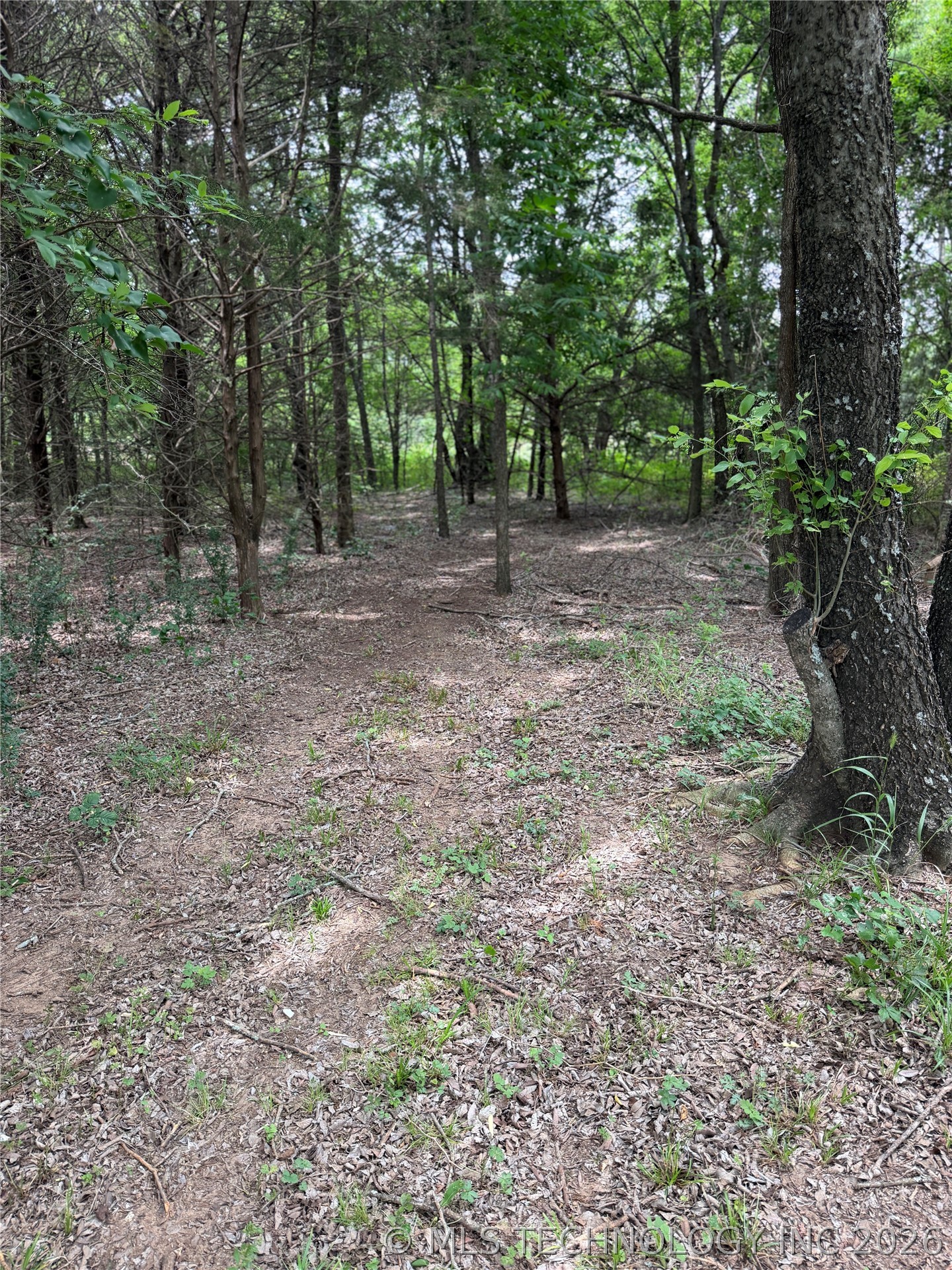11530 Ok Highway 78 S Property Photo 43