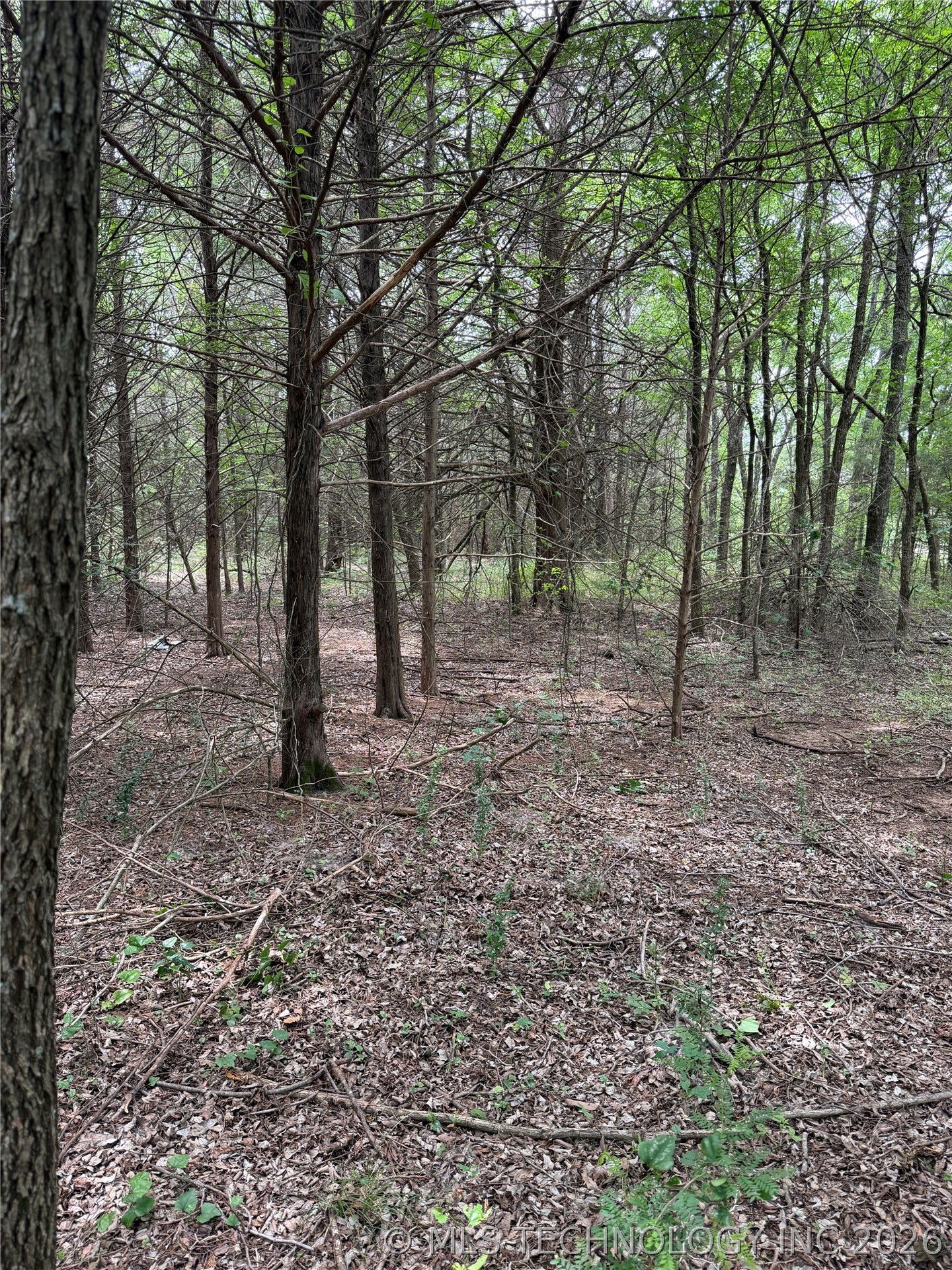 11530 Ok Highway 78 S Property Photo 44