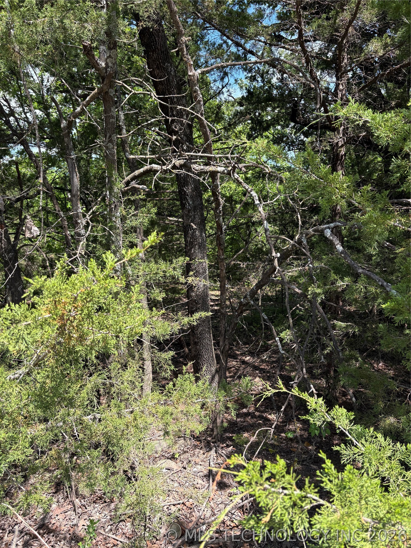 11 Stagecoach Trail Property Photo 3
