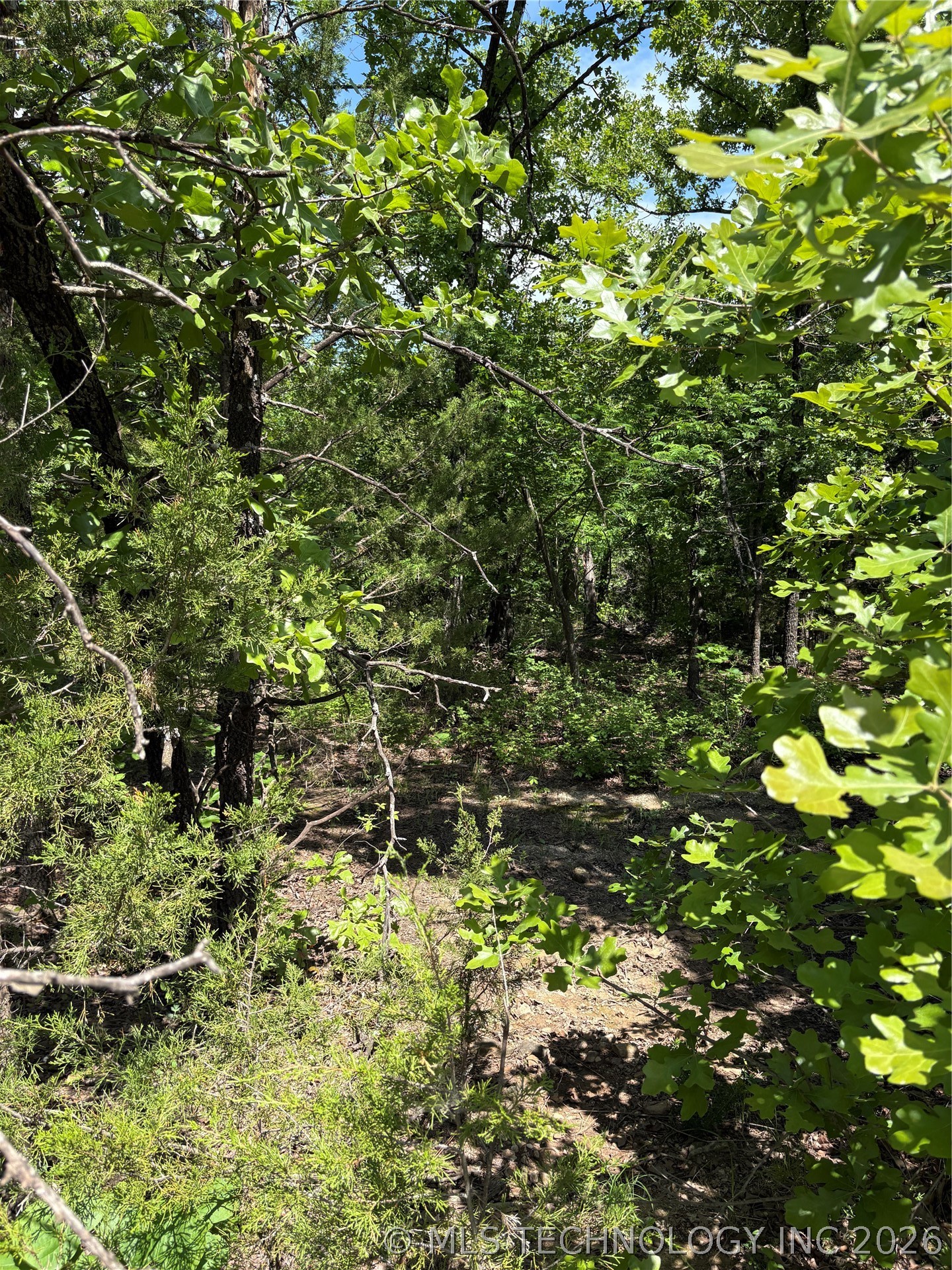 11 Stagecoach Trail Property Photo 4