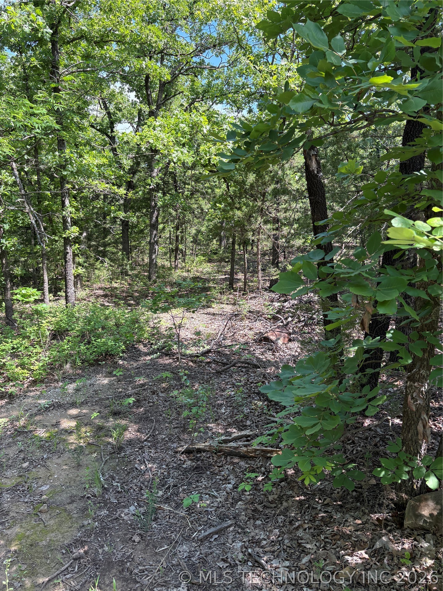 11 Stagecoach Trail Property Photo 5